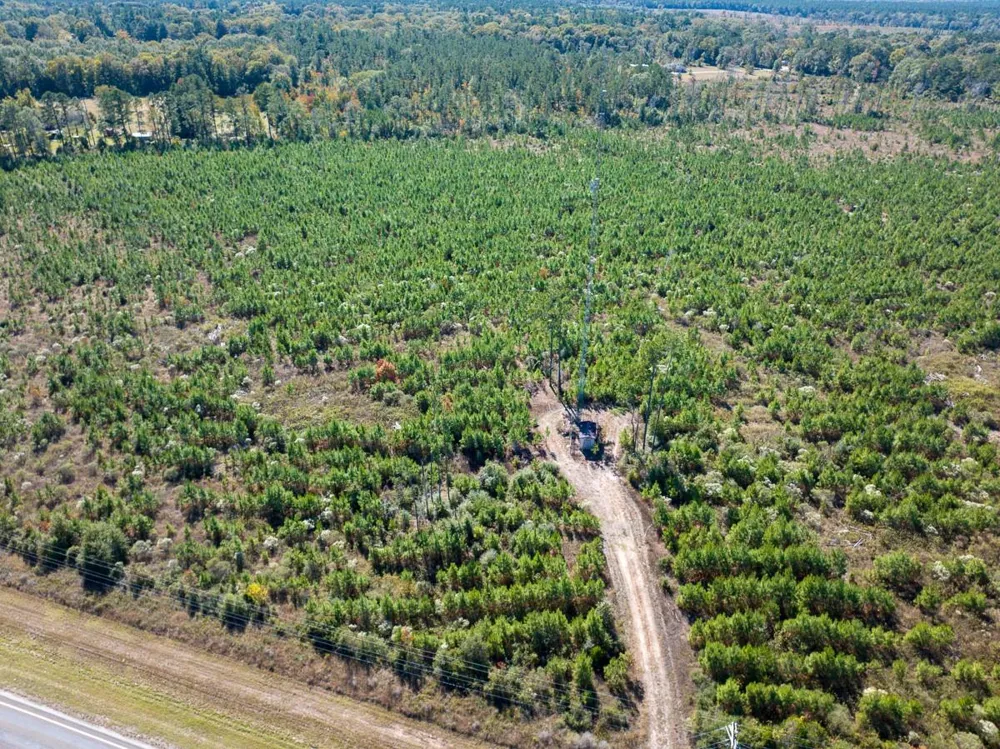 4 Fm 787 Votaw, TX 77376