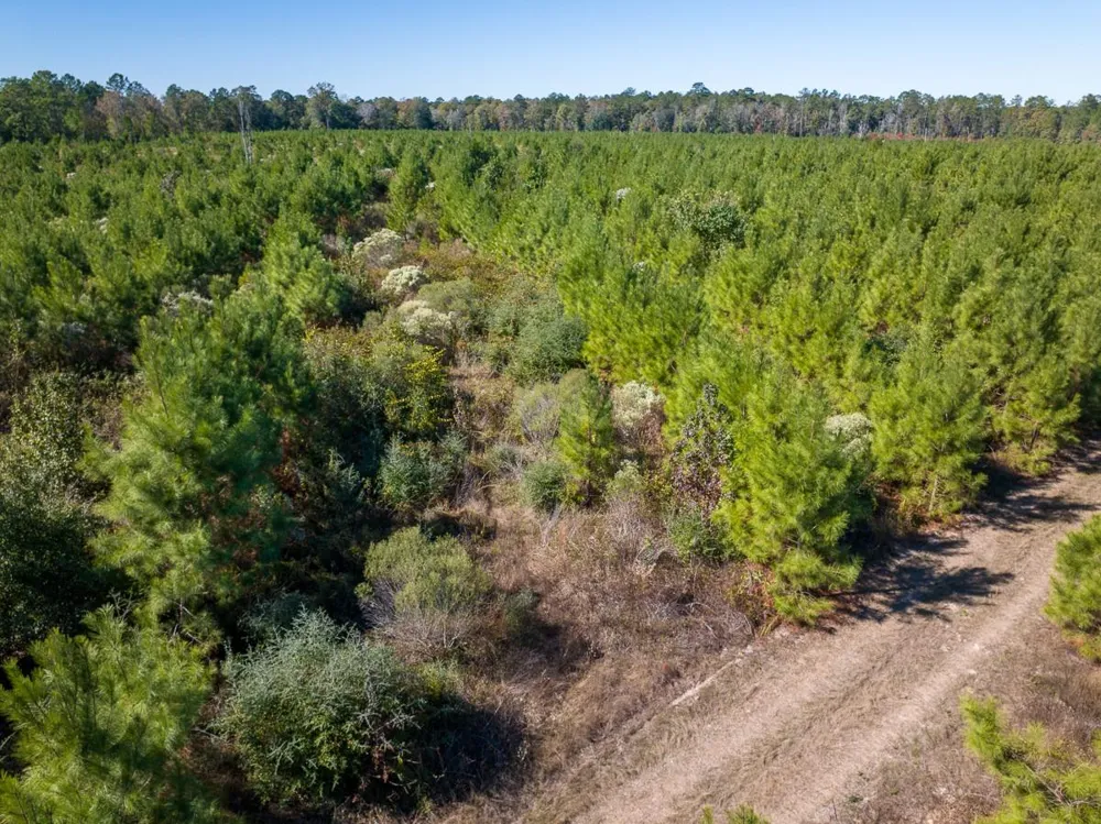 4 Fm 787 Votaw, TX 77376