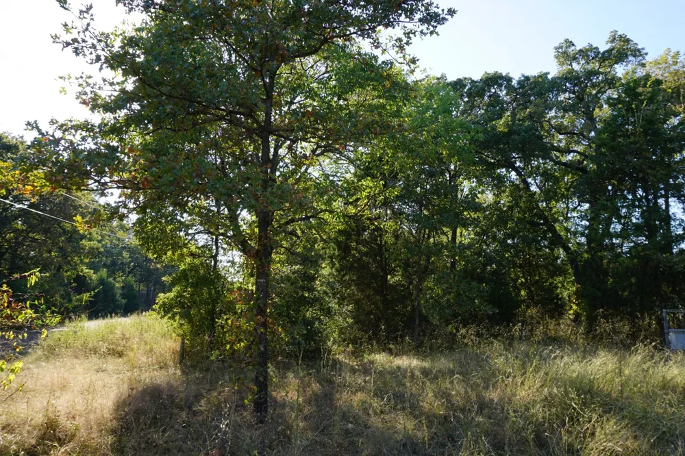 1688 Doc Holiday Dr Log Cabin, TX 75148