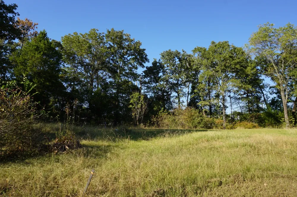 1688 Doc Holiday Dr Log Cabin, TX 75148