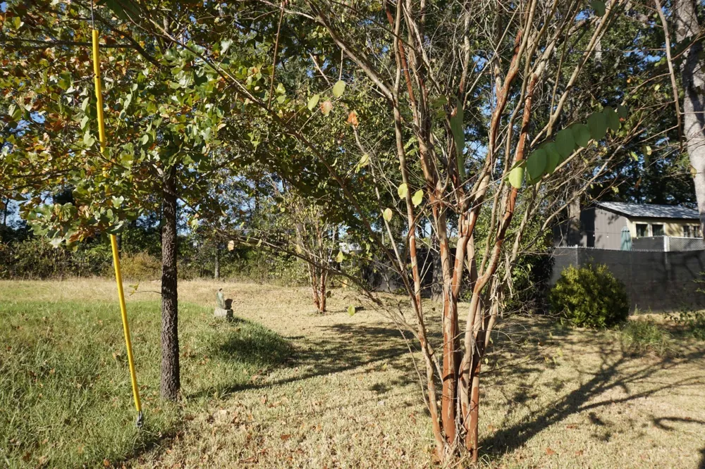 1688 Doc Holiday Dr Log Cabin, TX 75148