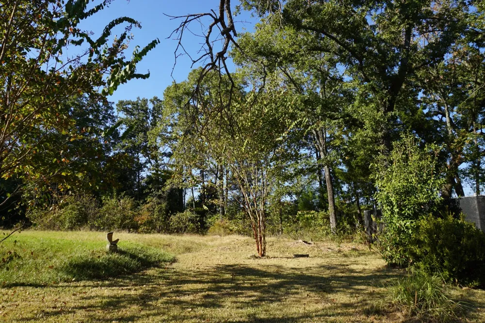1688 Doc Holiday Dr Log Cabin, TX 75148