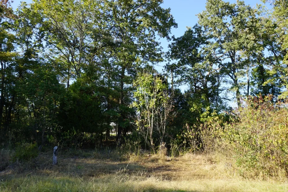 1688 Doc Holiday Dr Log Cabin, TX 75148