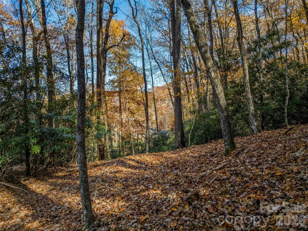 241 Skye Drive Pisgah Forest, NC 28768