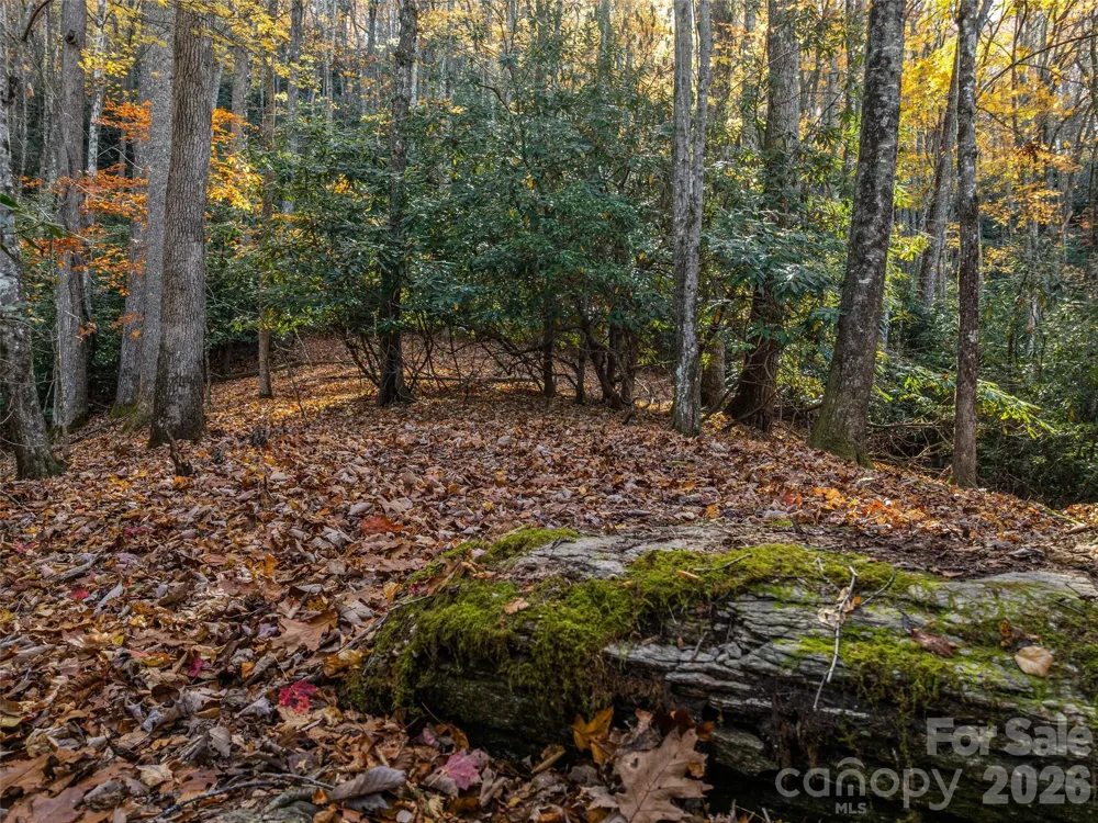 241 Skye Drive Pisgah Forest, NC 28768
