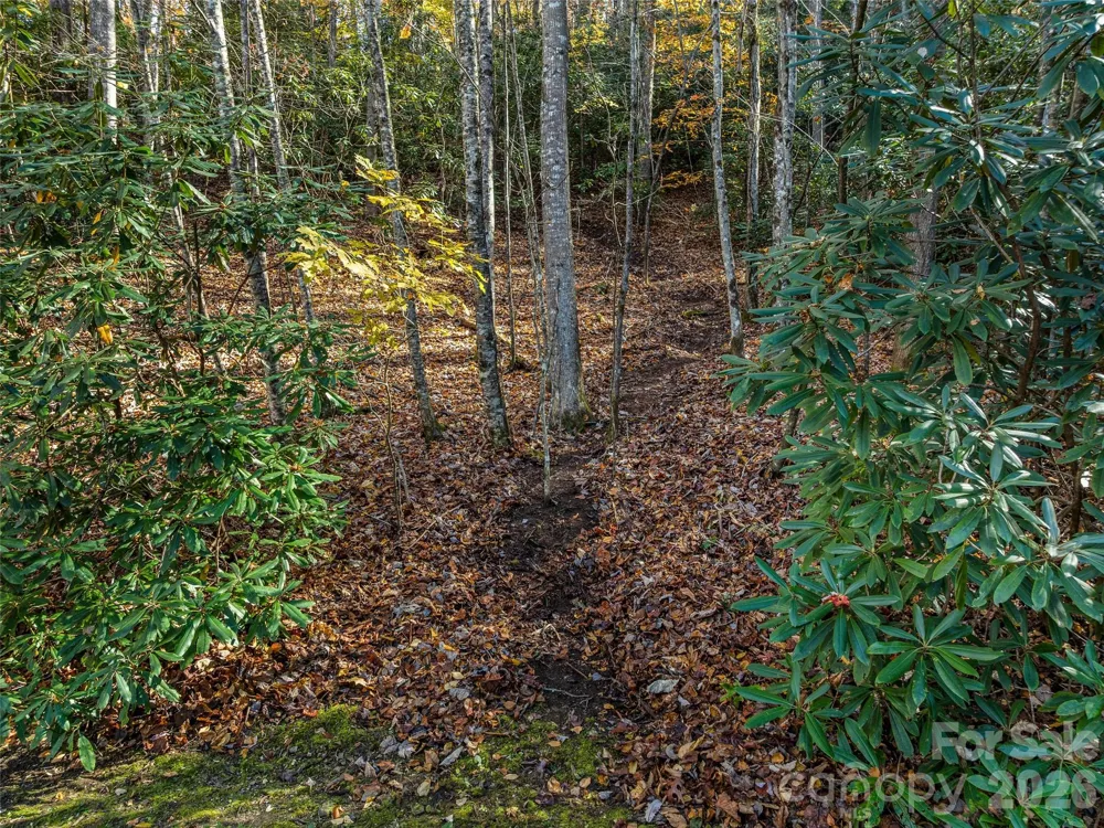 241 Skye Drive Pisgah Forest, NC 28768