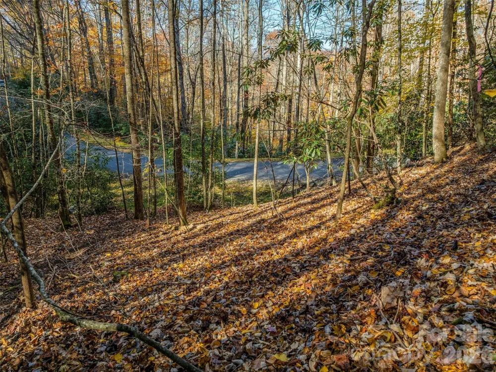 241 Skye Drive Pisgah Forest, NC 28768