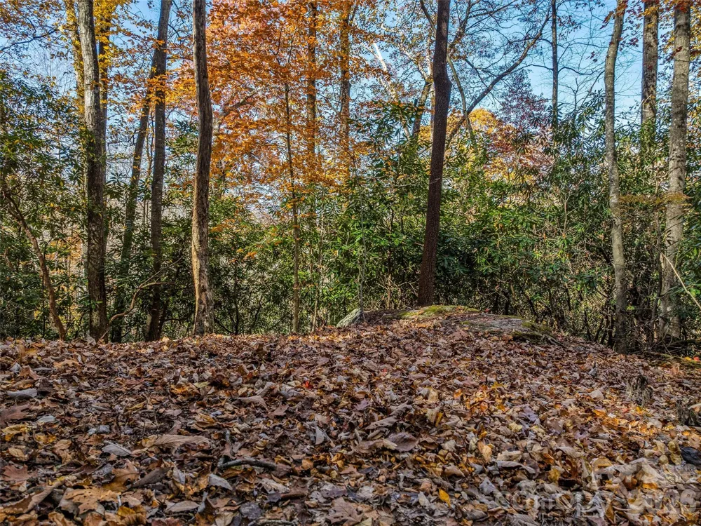 241 Skye Drive Pisgah Forest, NC 28768