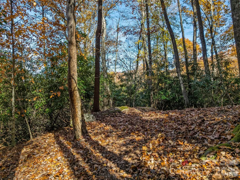 241 Skye Drive Pisgah Forest, NC 28768