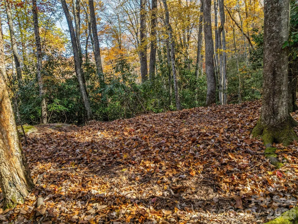 241 Skye Drive Pisgah Forest, NC 28768