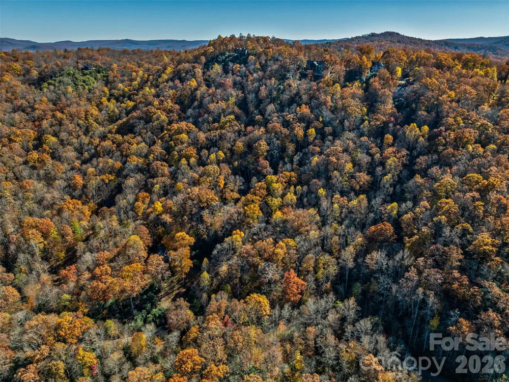 241 Skye Drive Pisgah Forest, NC 28768
