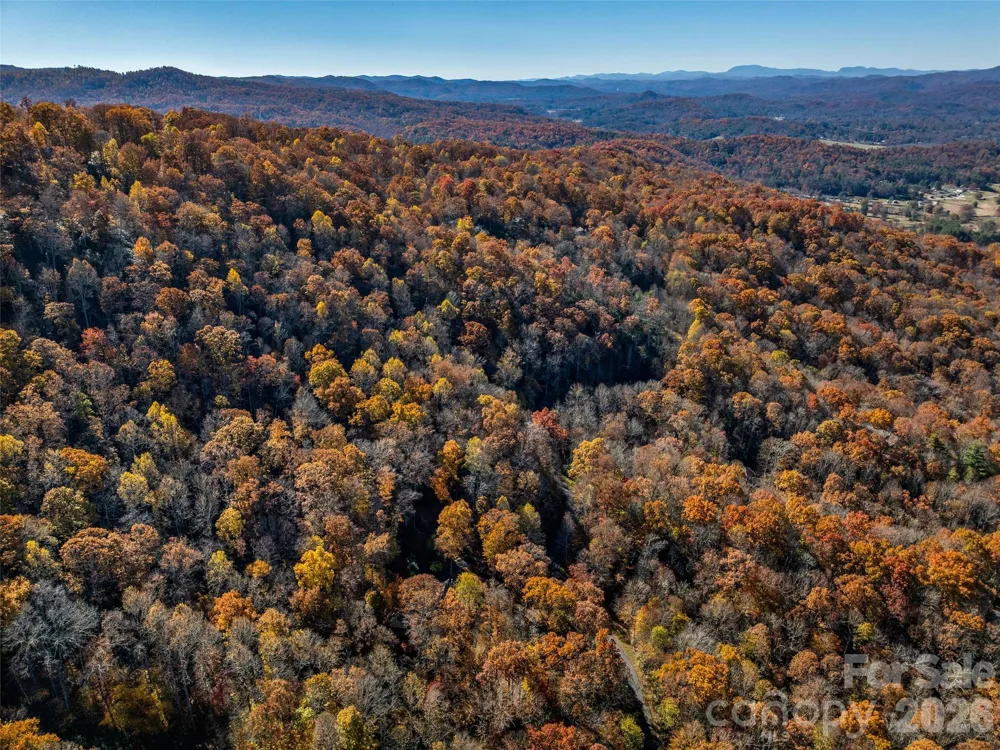 241 Skye Drive Pisgah Forest, NC 28768