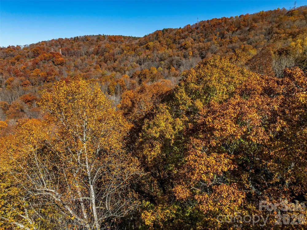 241 Skye Drive Pisgah Forest, NC 28768