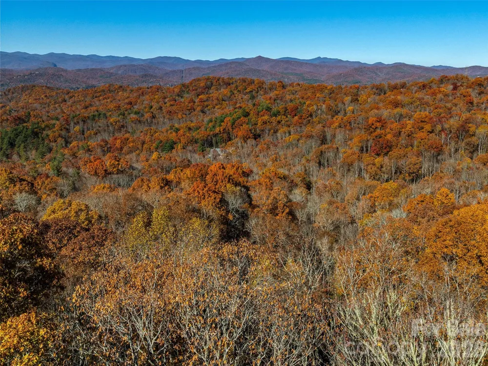 241 Skye Drive Pisgah Forest, NC 28768