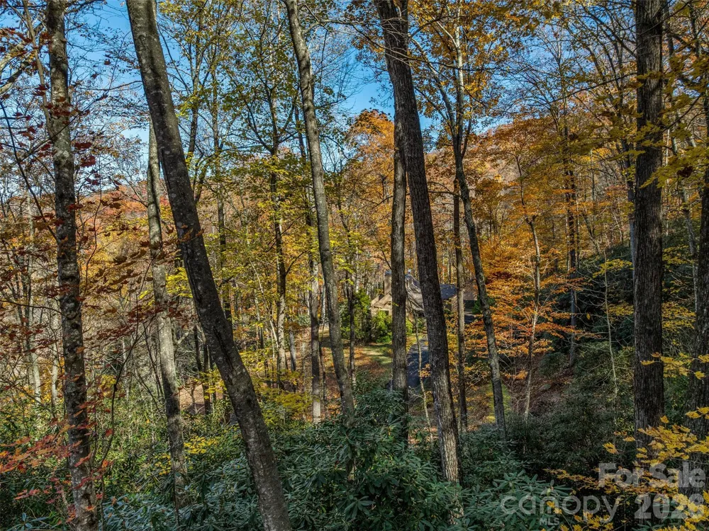 241 Skye Drive Pisgah Forest, NC 28768