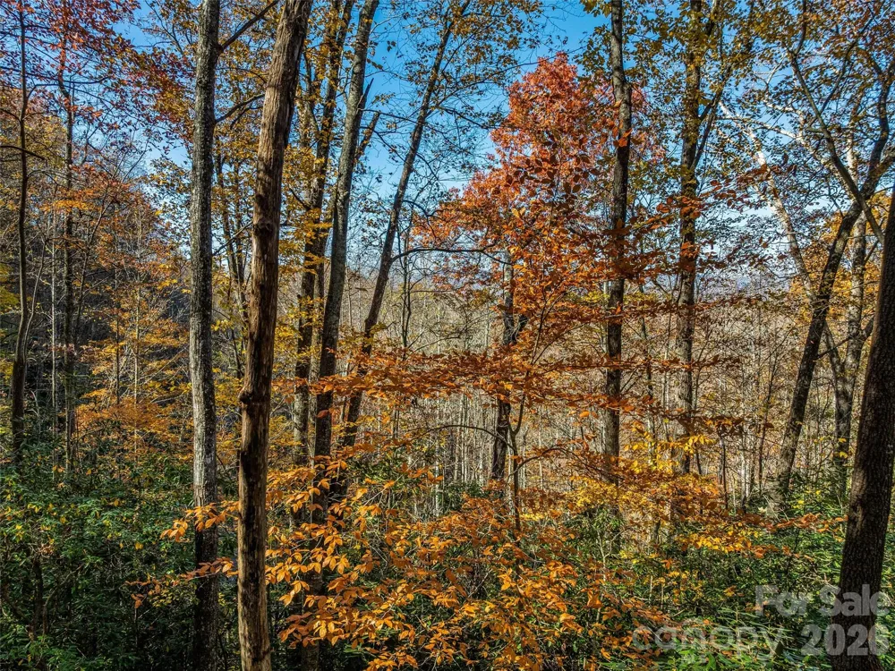 241 Skye Drive Pisgah Forest, NC 28768