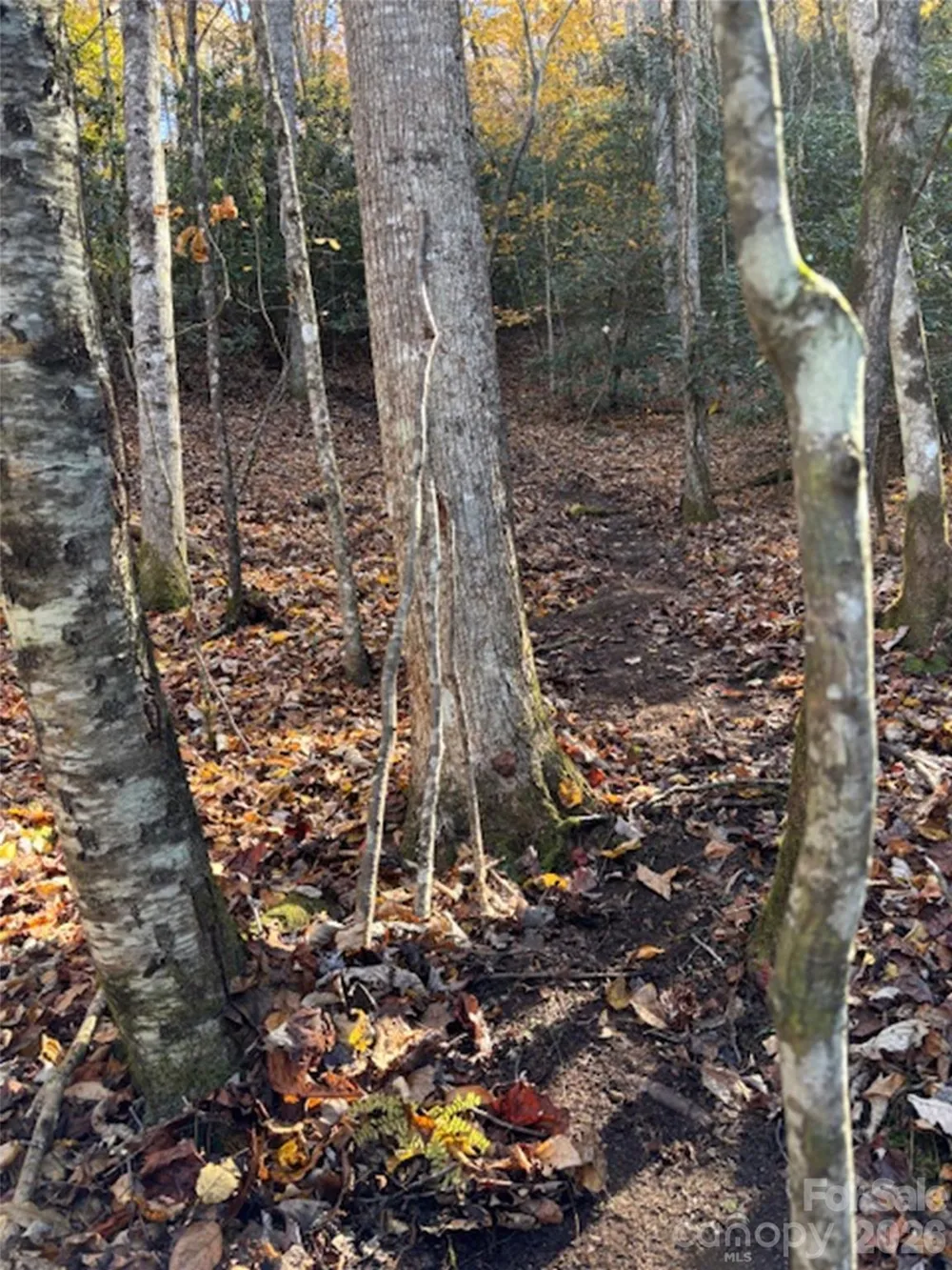 241 Skye Drive Pisgah Forest, NC 28768