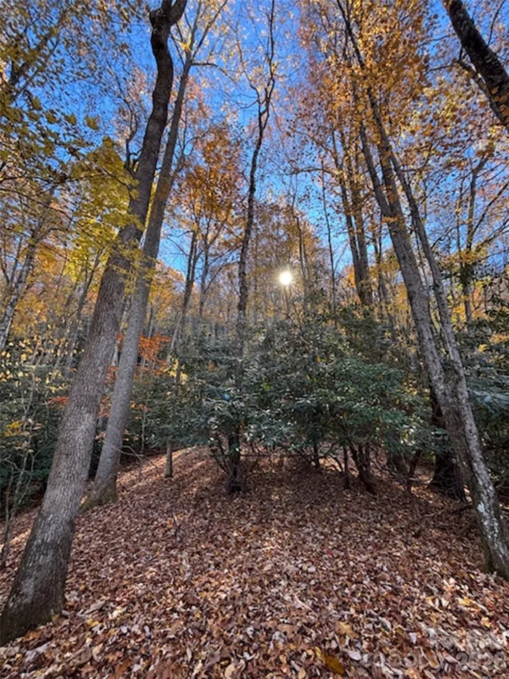 241 Skye Drive Pisgah Forest, NC 28768