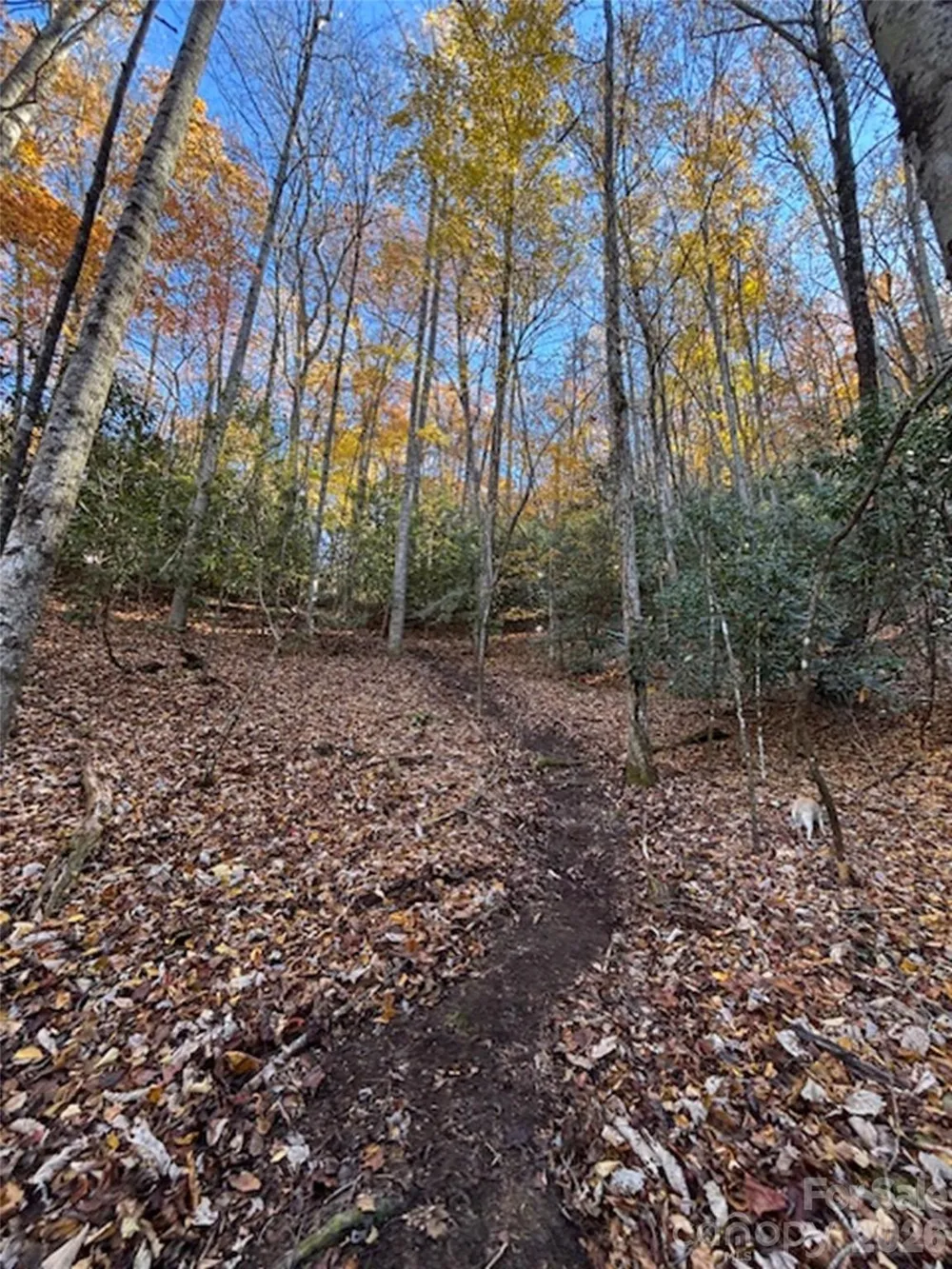 241 Skye Drive Pisgah Forest, NC 28768