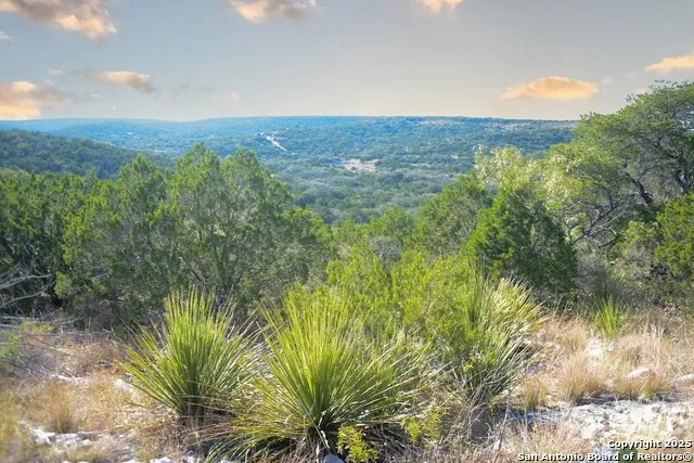 97 SD 45690 Rocksprings, TX 78880