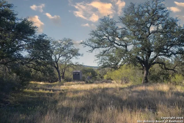 97 SD 45690 Rocksprings, TX 78880