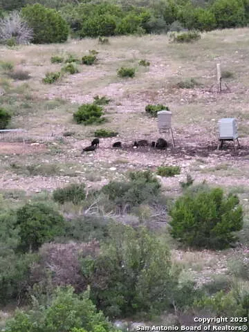 97 SD 45690 Rocksprings, TX 78880