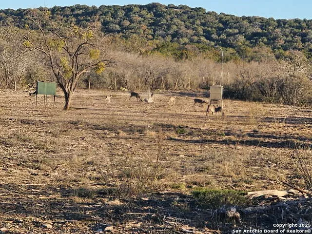 97 SD 45690 Rocksprings, TX 78880