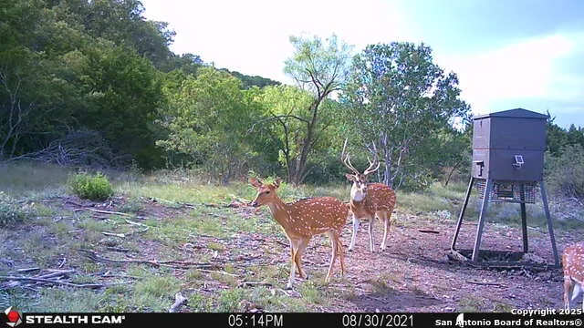 97 SD 45690 Rocksprings, TX 78880