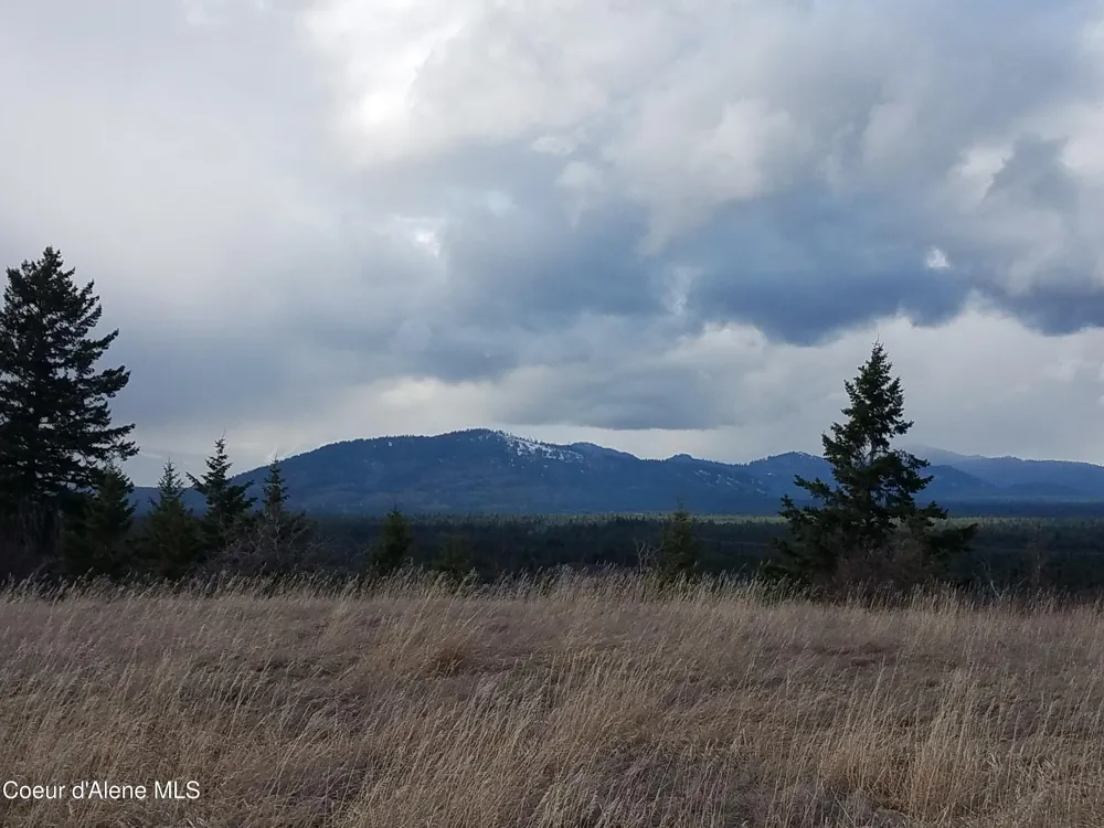 Rimrock Road Hayden, ID 83835