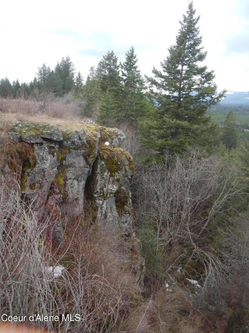 Rimrock Road Hayden, ID 83835