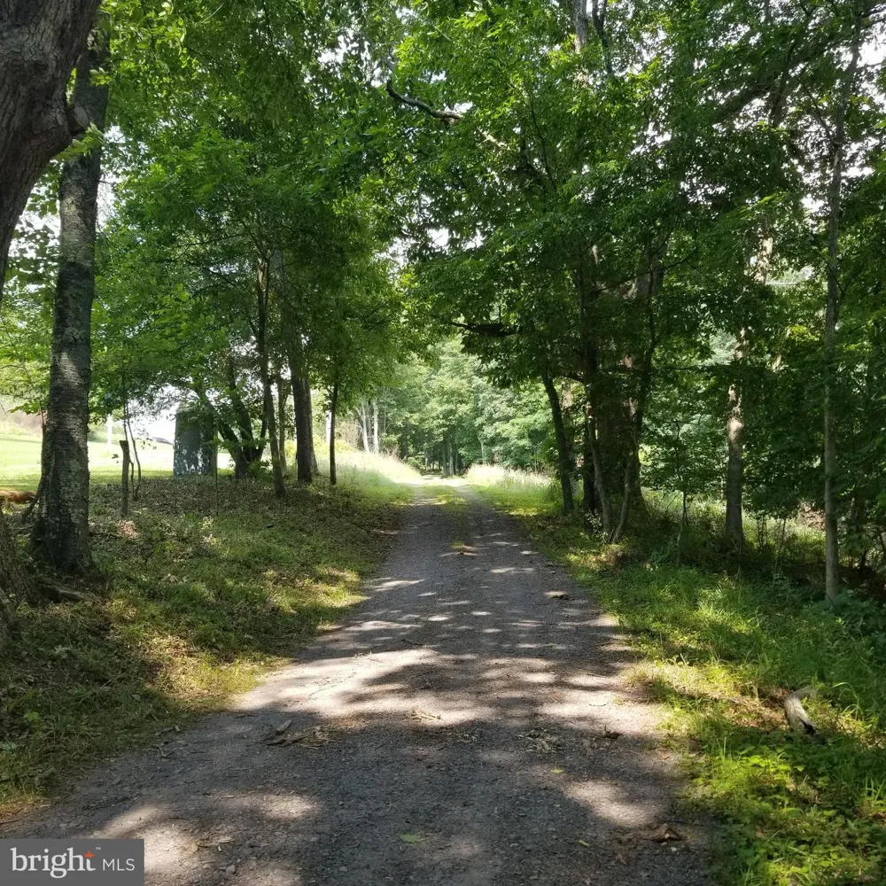 WES MOUNTAIN TRAIL Mc Henry, MD 21541