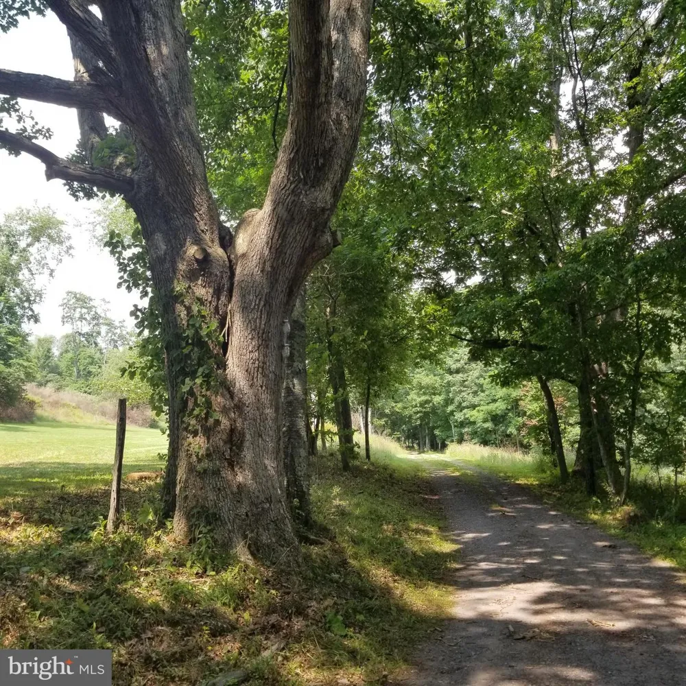 WES MOUNTAIN TRAIL Mc Henry, MD 21541