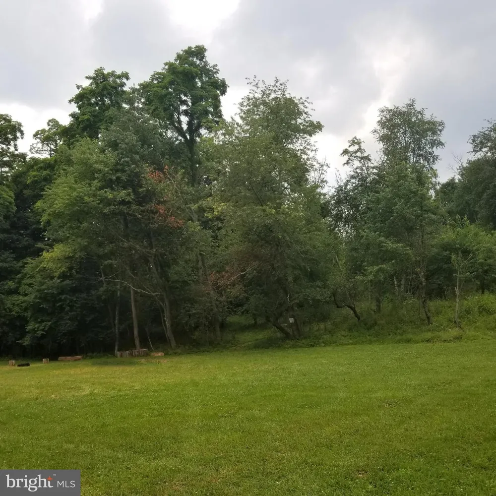 WES MOUNTAIN TRAIL Mc Henry, MD 21541