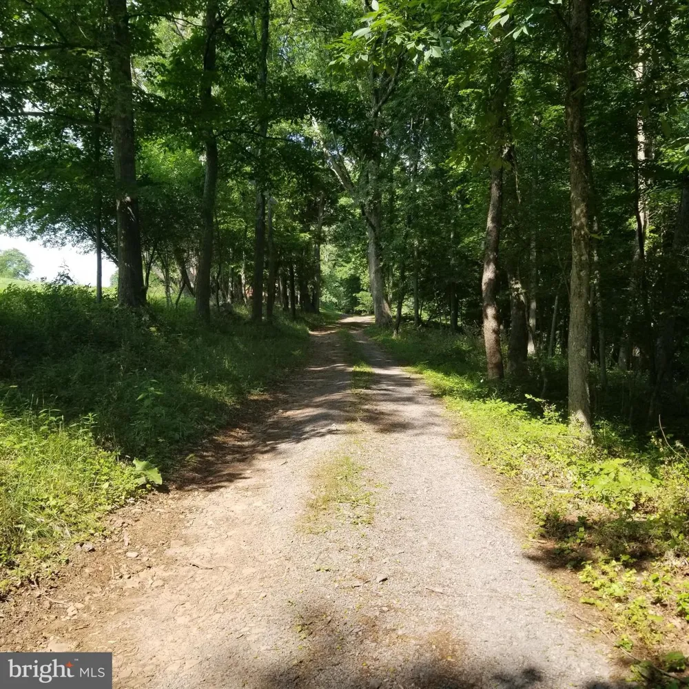 WES MOUNTAIN TRAIL Mc Henry, MD 21541