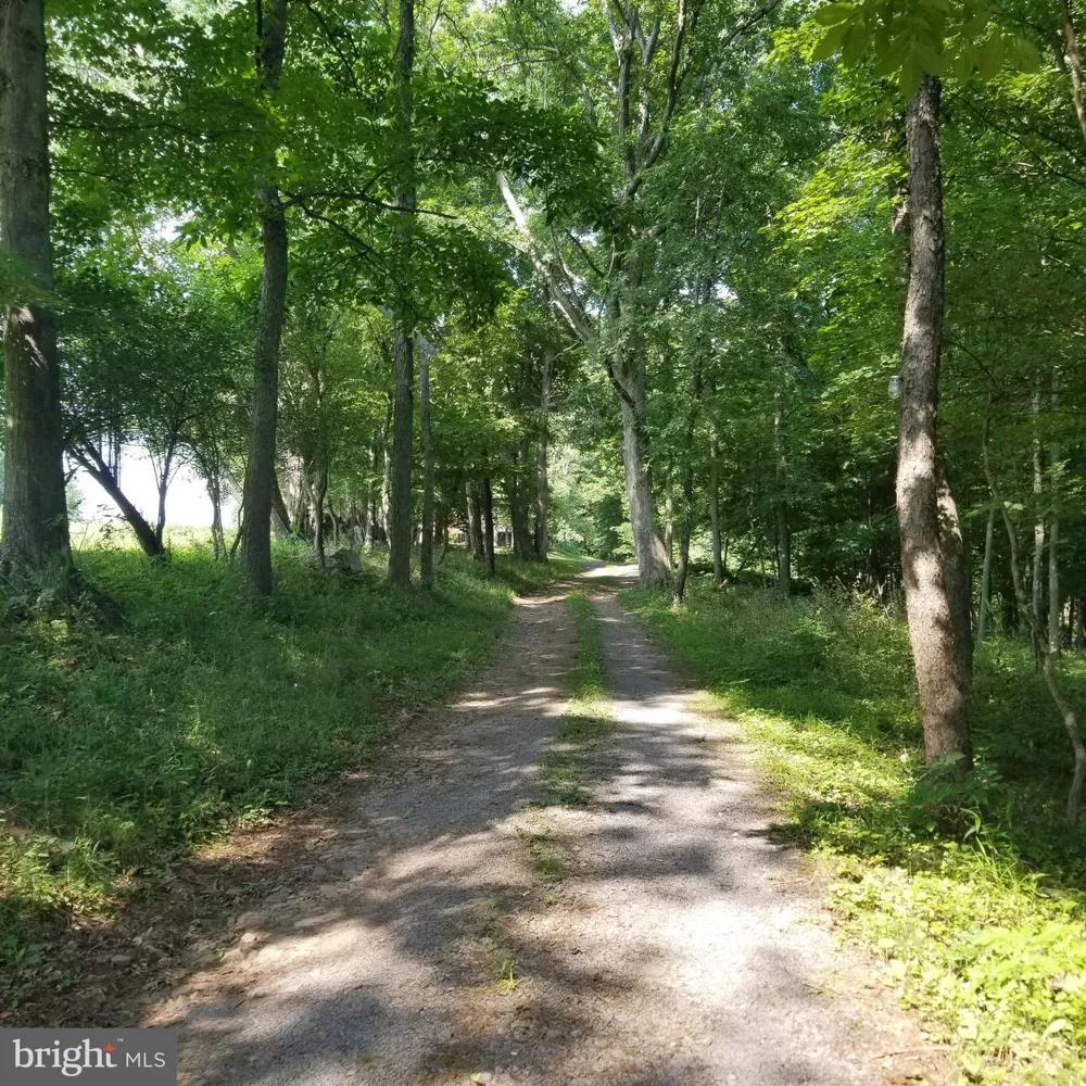 WES MOUNTAIN TRAIL Mc Henry, MD 21541