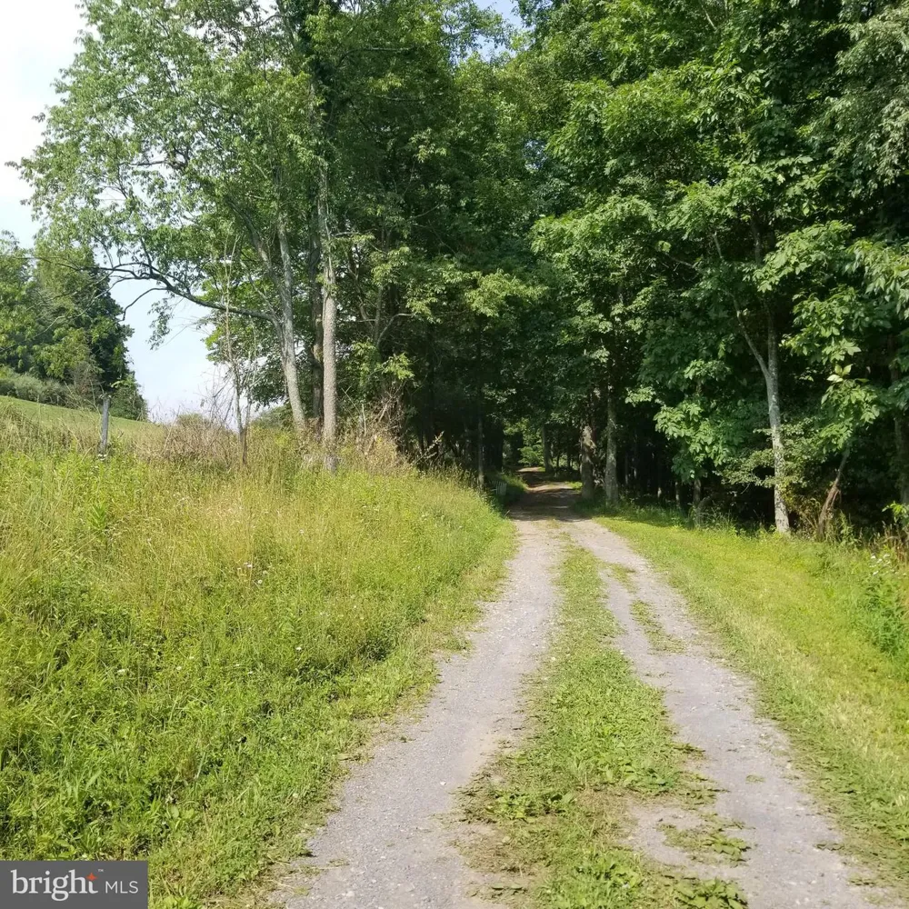 WES MOUNTAIN TRAIL Mc Henry, MD 21541