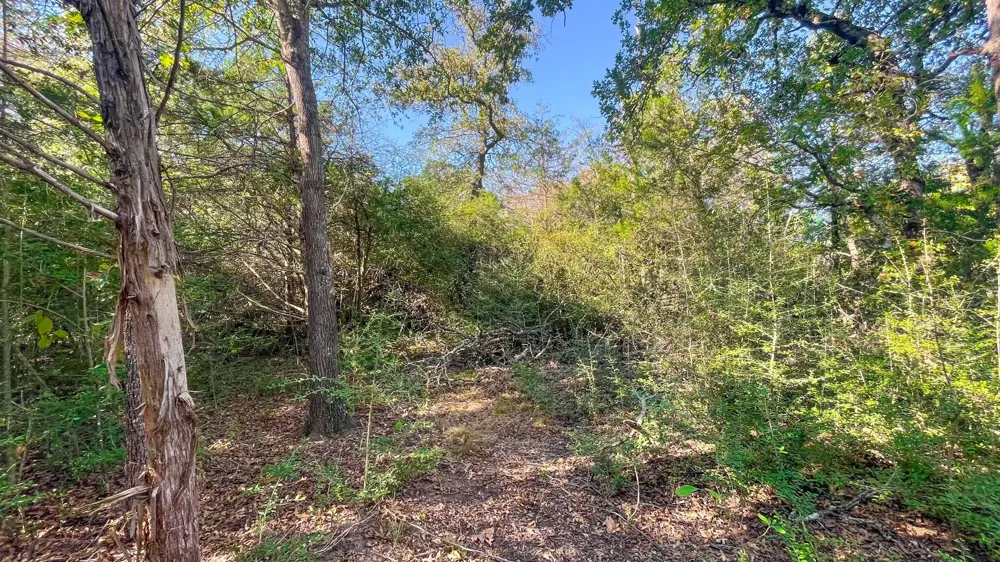 County Road 276 Bremond, TX 76629