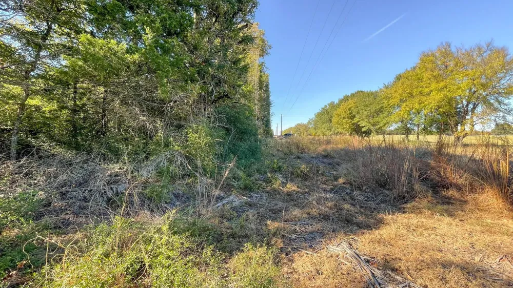 County Road 276 Bremond, TX 76629