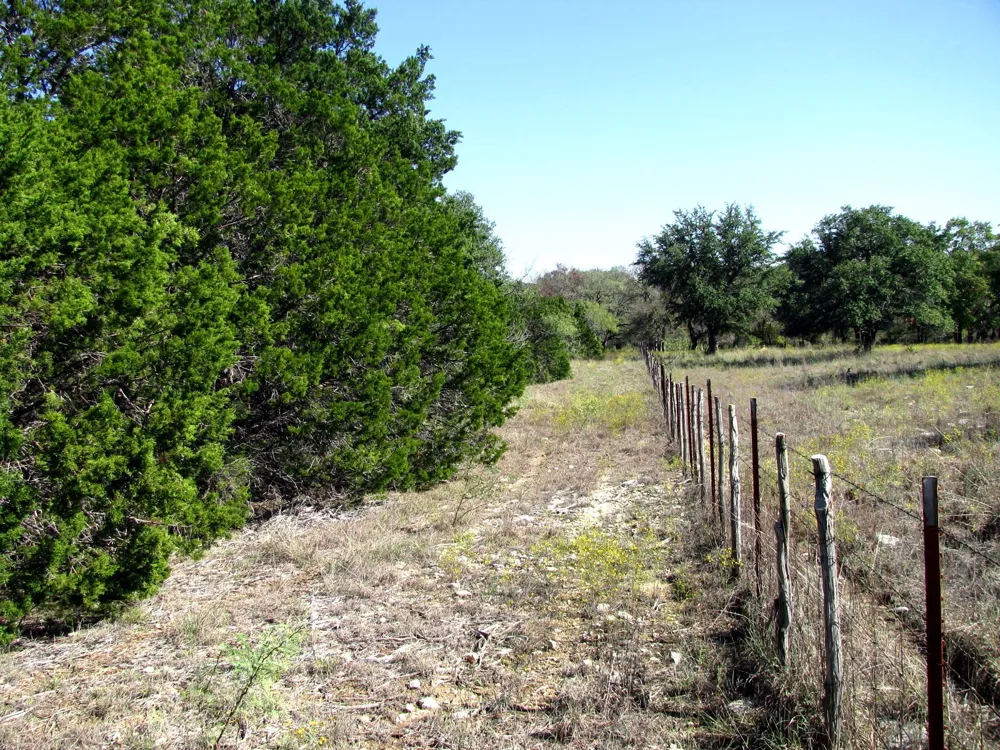PR 42112 Evant, TX 76525