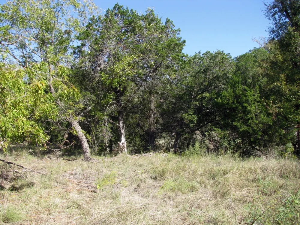 PR 42112 Evant, TX 76525