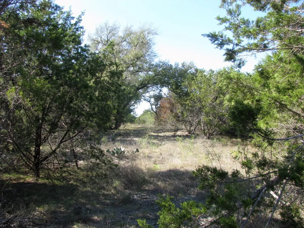 PR 42112 Evant, TX 76525