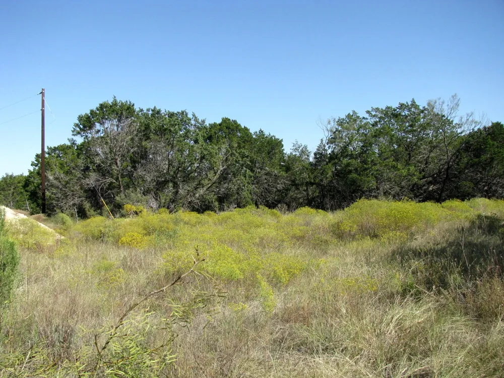 PR 42112 Evant, TX 76525