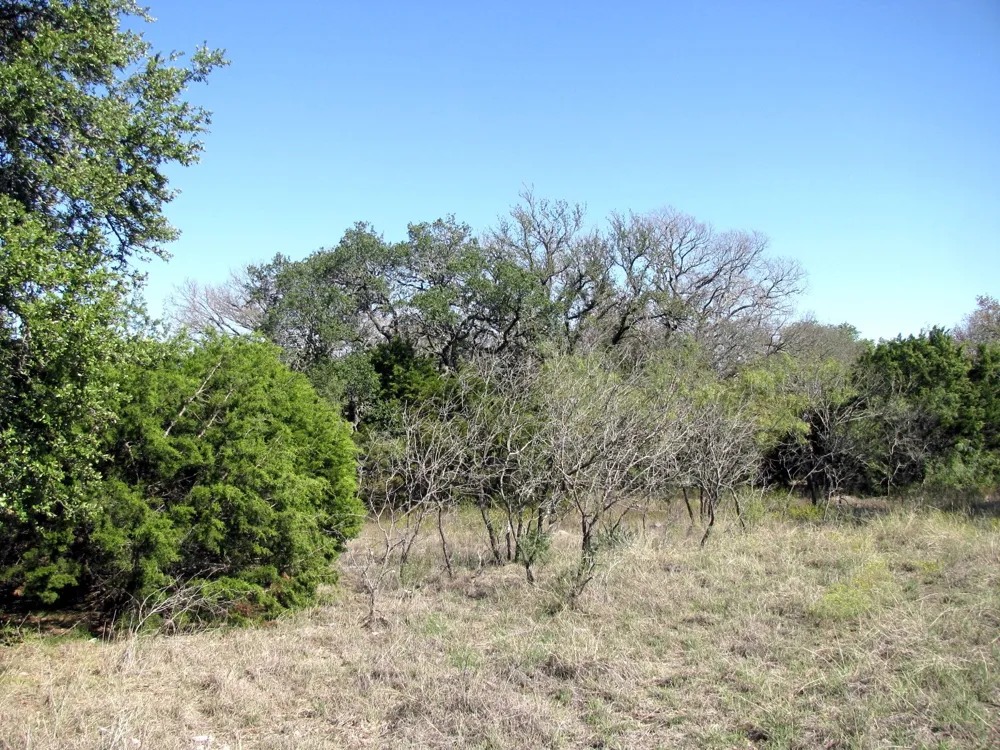 PR 42112 Evant, TX 76525