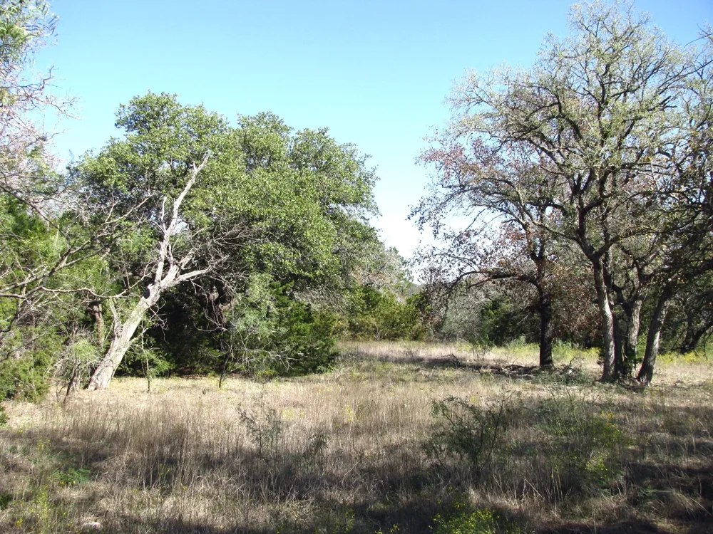 PR 42112 Evant, TX 76525