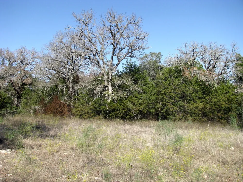 PR 42112 Evant, TX 76525