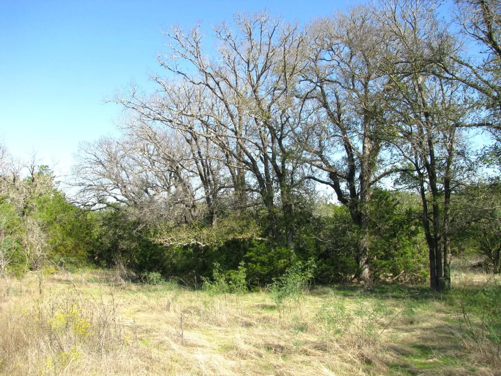 PR 42112 Evant, TX 76525