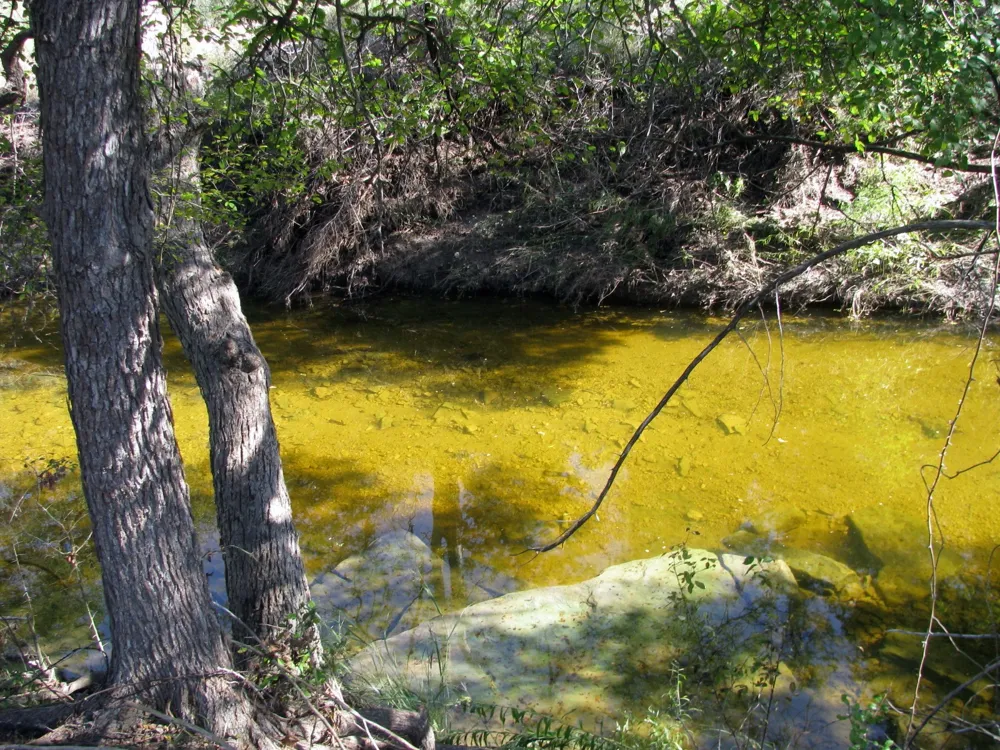 PR 42112 Evant, TX 76525