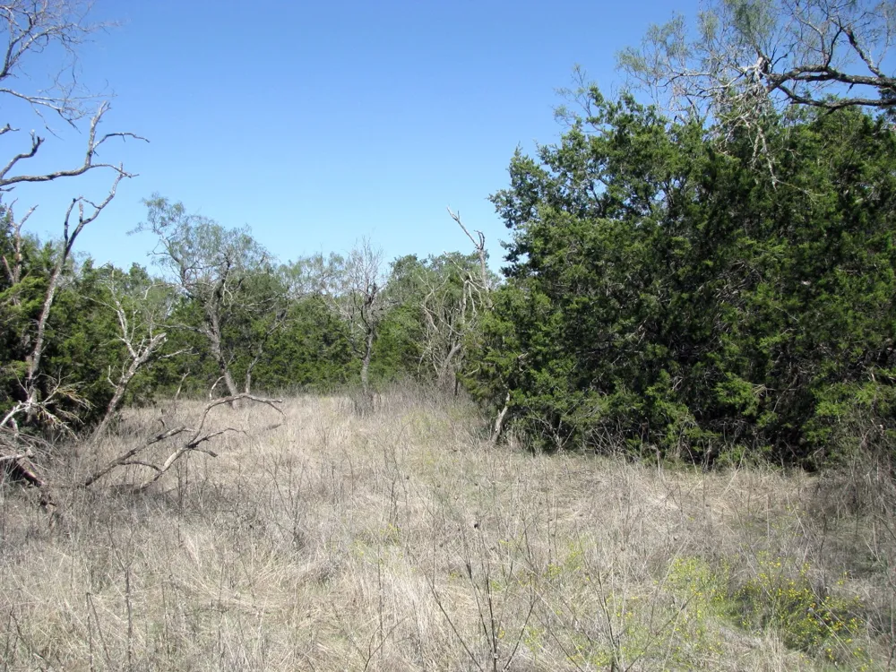 PR 42112 Evant, TX 76525