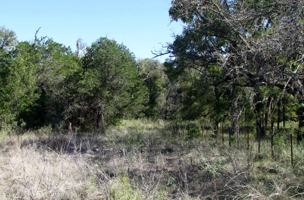 PR 42112 Evant, TX 76525