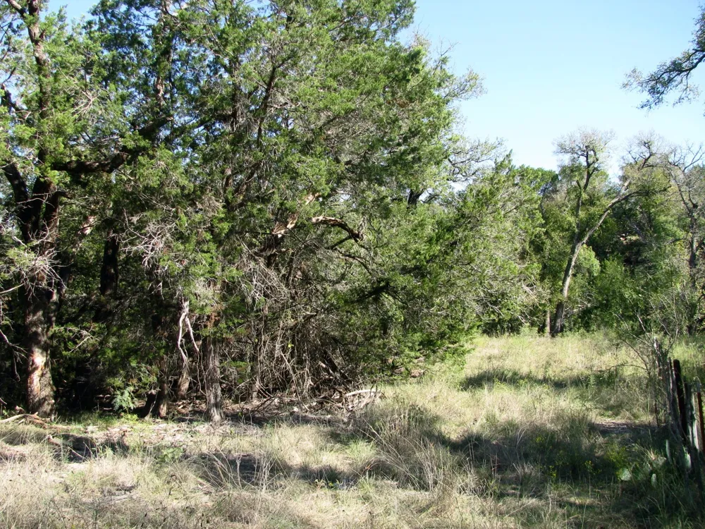 PR 42112 Evant, TX 76525
